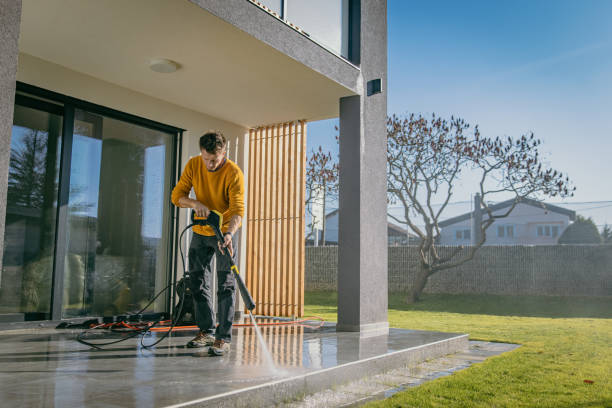 Professional  Pressure Washing Services in Paynesville, MN