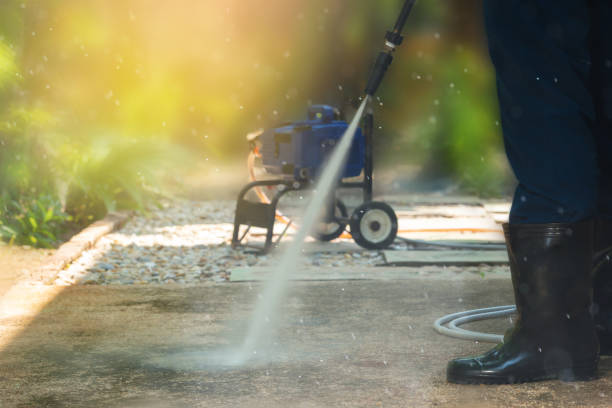 Animal Enclosure Cleaning in Paynesville, MN